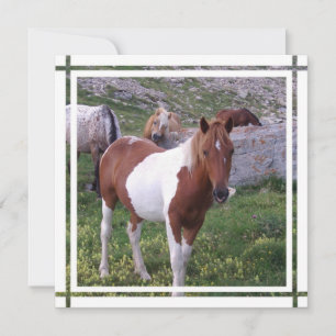 Invitation de Paint Horse