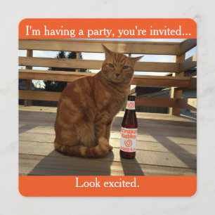 Invitation de partie comportant un chat orange