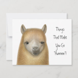 Invitation de partie d'alpaga