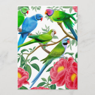 Invitation de partie de perroquet de Birds of a