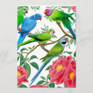 Invitation de partie de perroquet de Birds of a