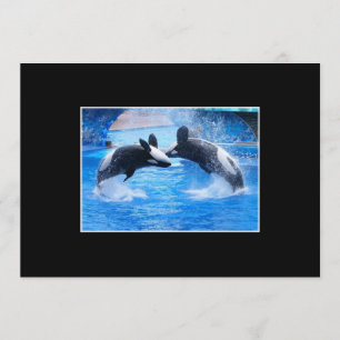 Invitation de photo de baleine