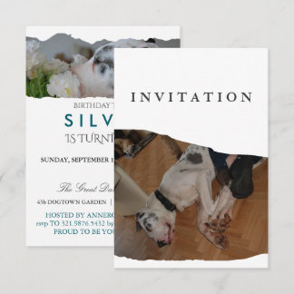 Invitation de photo de Grand Danois 