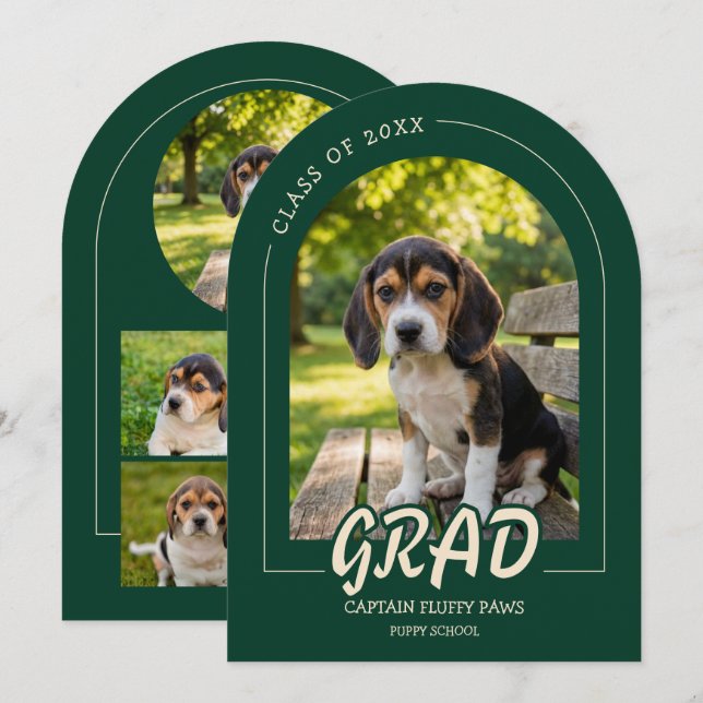Invitation de photos de chiens diplômés Émeraude (Devant / Derrière)