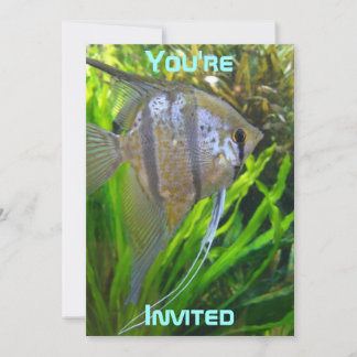 Invitation de poisson ange