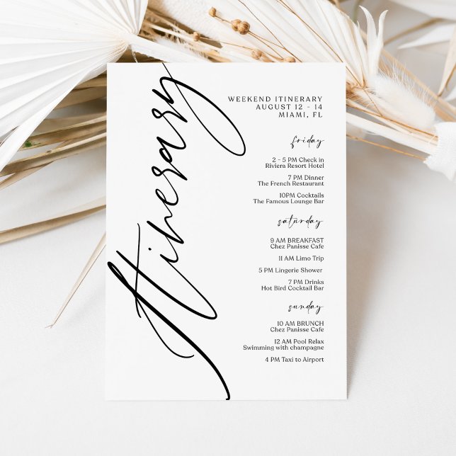 Invitation de programme de mariage moderne minimal (Créateur téléchargé)