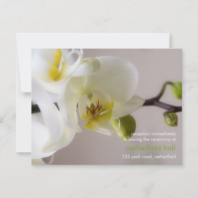 Invitation de réception de mariage Orchidée Blanch (Devant)