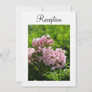 Invitation de réception mariage rose laurier des m