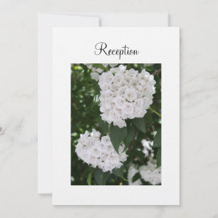 Invitation de réception White Mariage Mountain Lau