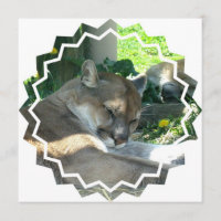 Invitation de repos de puma