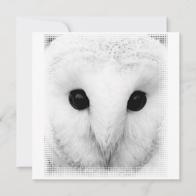 Invitation de Snowy Owl (Devant)