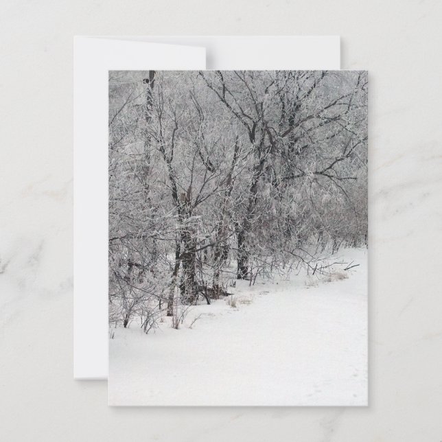 Invitation de Snowy Woods (Devant)