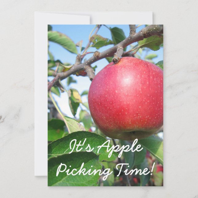 Invitation de temps de récolte (Devant)