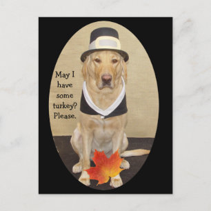 Invitation de thanksgiving