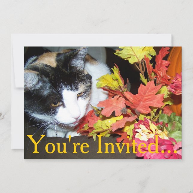 Invitation de Thanksgiving pour dîner avec un chat (Devant)