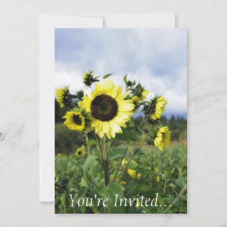 Invitation de tournesol