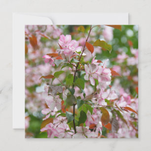 Invitation Delicate branch with flowers apple tree