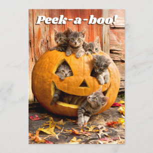 Invitation Des chatons à Jack-o-Lantern