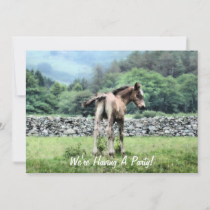 INVITATION DES CHEVAUX