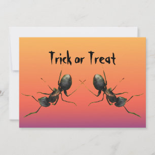 Invitation des fourmis d'Halloween