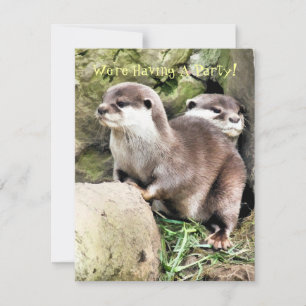 Invitation des OTTERS