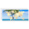 Destination Mariage Pass Embarquement Plage Ocean 