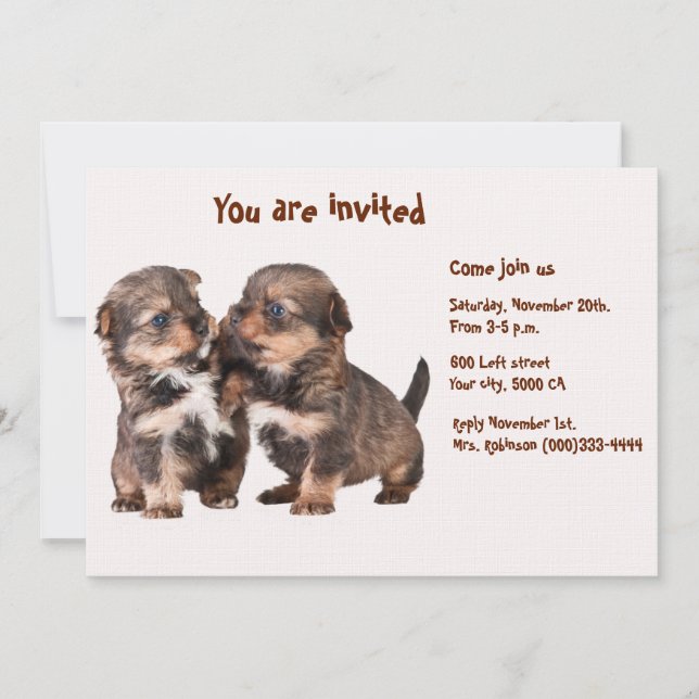 Invitation Deux chiots gracieux de Yorkshire (Devant)