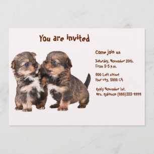 Invitation Deux chiots gracieux de Yorkshire