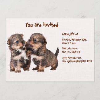 Invitation Deux chiots gracieux de Yorkshire