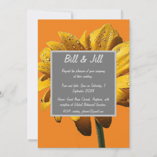 Invitation Dew Drops Daisy Mariage