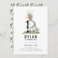 Dinosaur Thème 1ère fête d'anniversaire