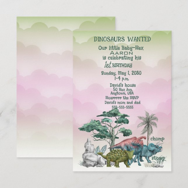 Invitation Dinosaures Recherché Baby's First Birthday Invitat (Devant / Derrière)