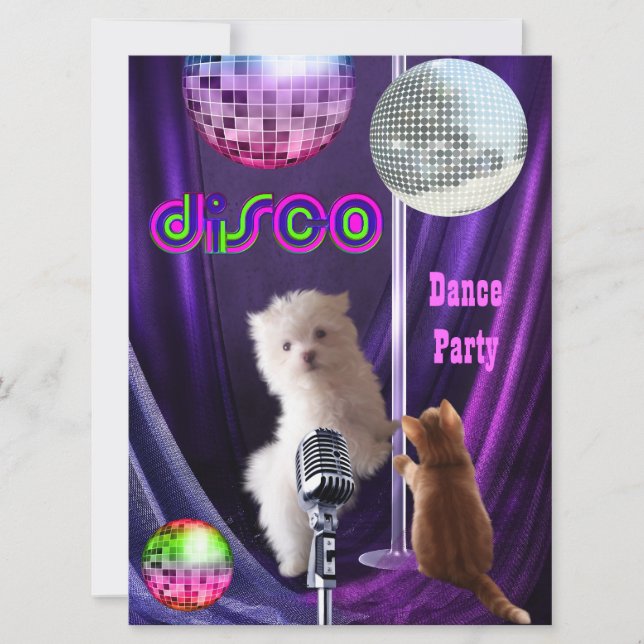 Invitation Disco Fête Chien Chat Maltais Chiot (Devant)