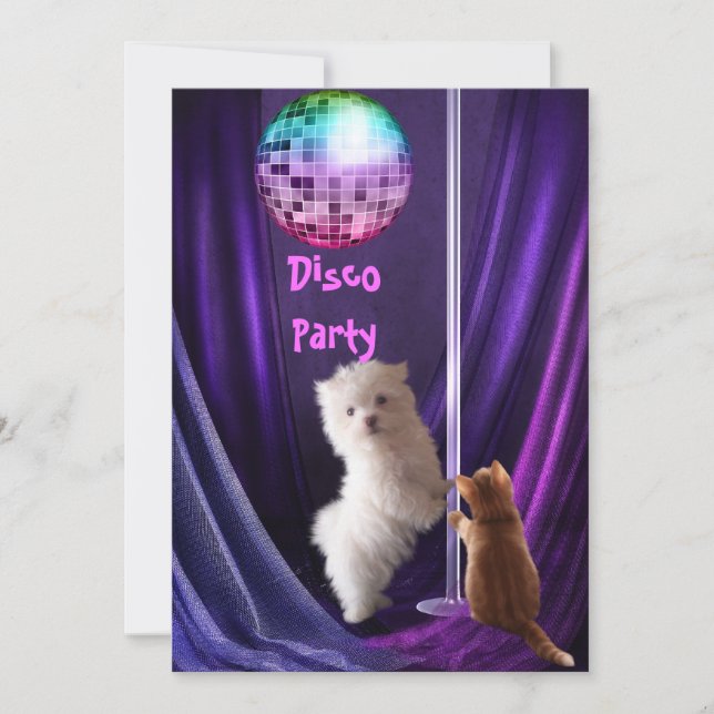 Invitation Disco Party Chien Chat Chien Maltese Ch (Devant)