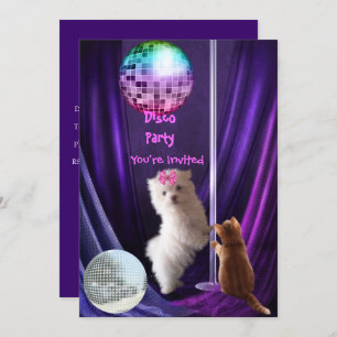 Invitation Disco Party Chien Chat Chien Maltese Ch