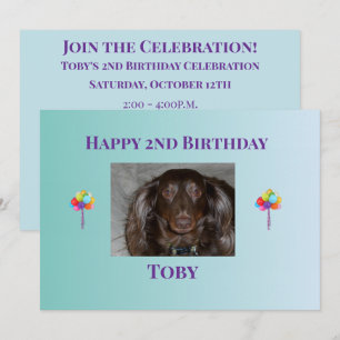 Invitation Disposition d'invitation d'anniversaire pour anima