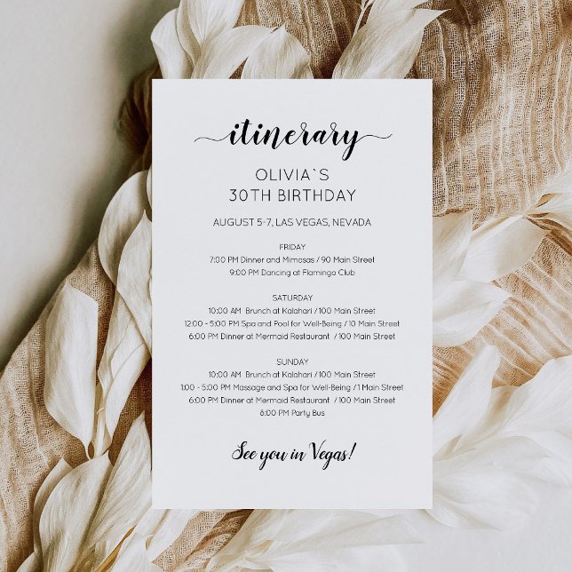 Invitation d'itinéraire d'anniversaire minimaliste (Modern Minimalist Birthday Itinerary Invitation)