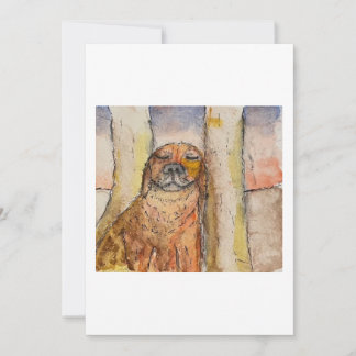 Invitation Dog Basking in the Sun Greeting Card