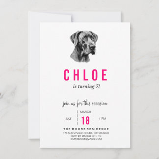 Invitation Dogue Allemand