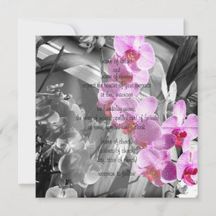 Invitation d'orchidées