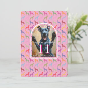 Invitation dorée pour grande fête de chien noir