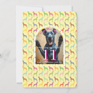 Invitation dorée pour grande fête de chien noir