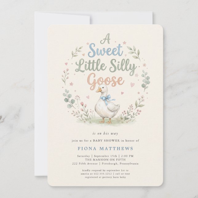 Invitation Douce petite fête de bébé Goose Blue Gingham  (Devant)
