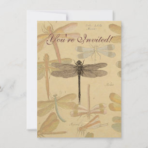 Invitation Dragonfly Vintage Antique Classic Nature