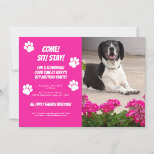 Invitation Drôle Chien Modèle photo Anniversaire Fête Invitat