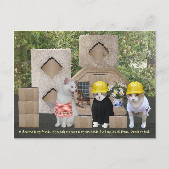 Invitation drôle de chat pour aider à bouger (Devant)