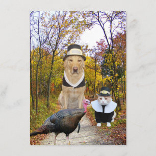 Invitation drôle de thanksgiving d'animaux