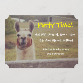Invitation du Llama Party