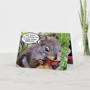 Invitation du parti Squirrel