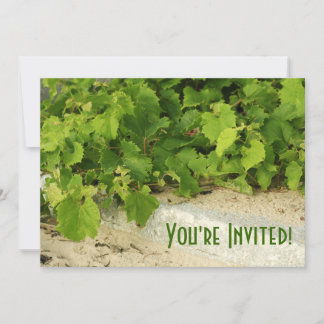 Invitation du vignoble